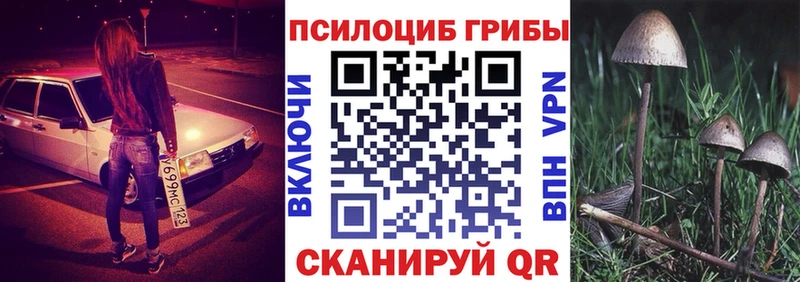 Галлюциногенные грибы Psilocybine cubensis  как найти   нарко площадка как зайти  Бор 